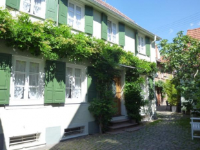 Отель Rebstöckel Gästehaus WeinHof & Vinothek  Нойштадт